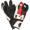 Перчатки DAKINE TEAM SABRE GLOVE POLLARD Размер S