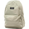 Рюкзак DAKINE 247 PACK 24L DESERT SAGE