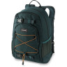 Рюкзак DAKINE GROM 13L JUNIPER