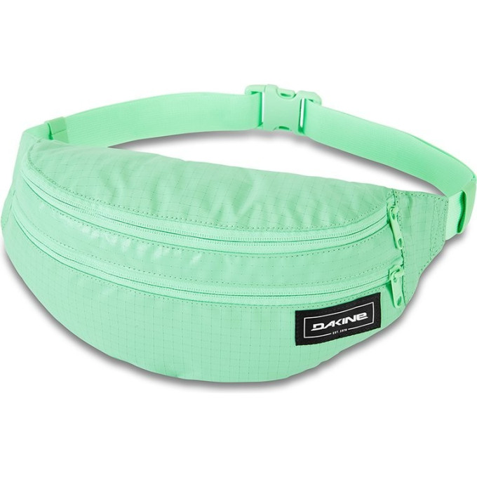 Сумка поясная DAKINE CLASSIC HIP PACK LARGE DUSTY MINT RIPSTOP