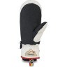 Варежки DAKINE POINTER MITT HCSC RAINBOW Размер XS