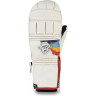 Варежки DAKINE POINTER MITT HCSC RAINBOW Размер XS