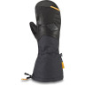 Варежки DAKINE TEAM CONTINENTAL GORE-TEX MITT LOUIF PARADIS Размер M